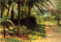 Tropisch Landschaft Albert Bier
